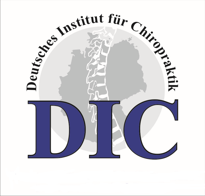 Logo DIC